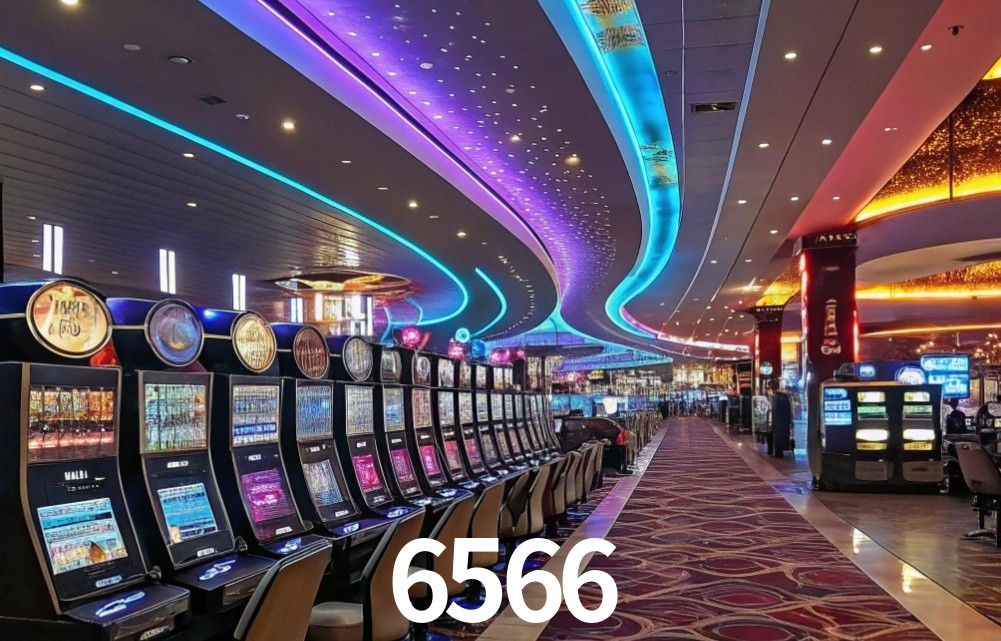 6566